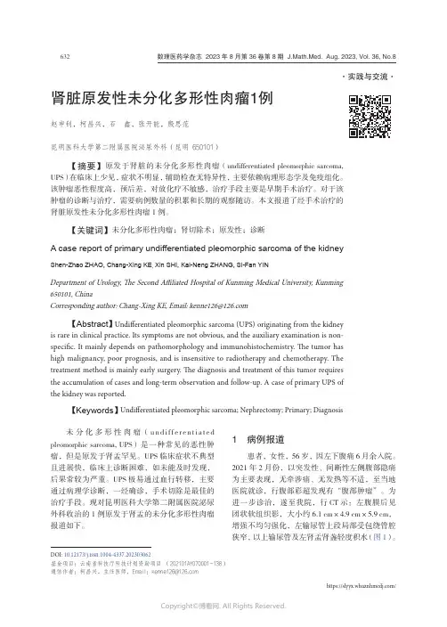 肾脏原发性未分化多形性肉瘤1_例