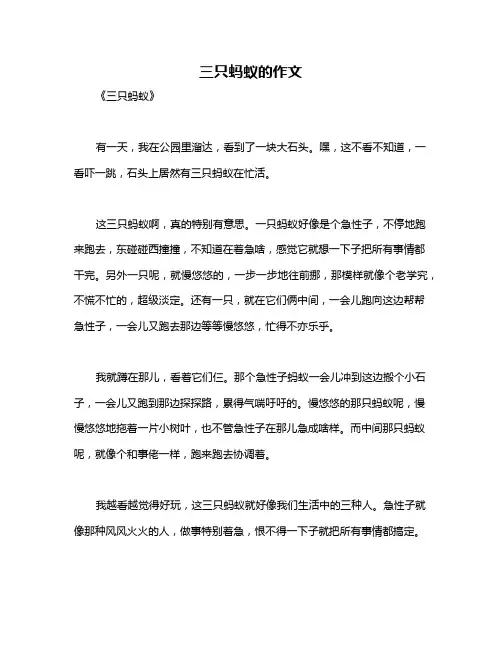三只蚂蚁的作文