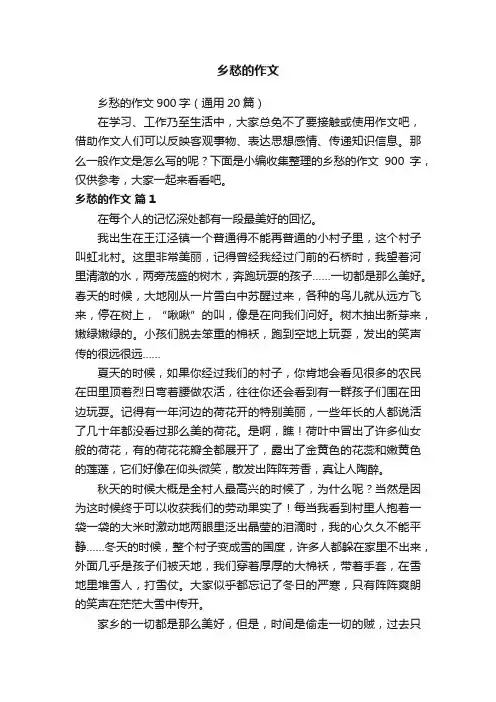 乡愁的作文900字（通用20篇）