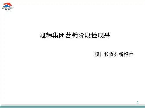 1、阶段性成果投资分析报告