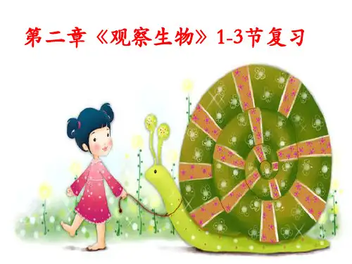 浙教版科学七级上册PPT公开课—节复习