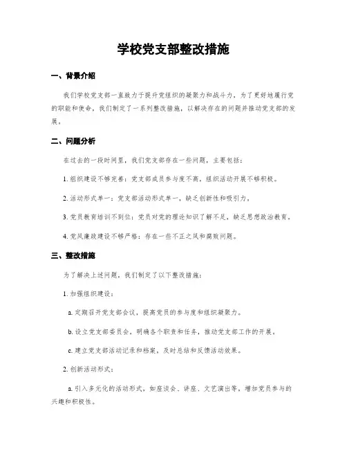学校党支部整改措施