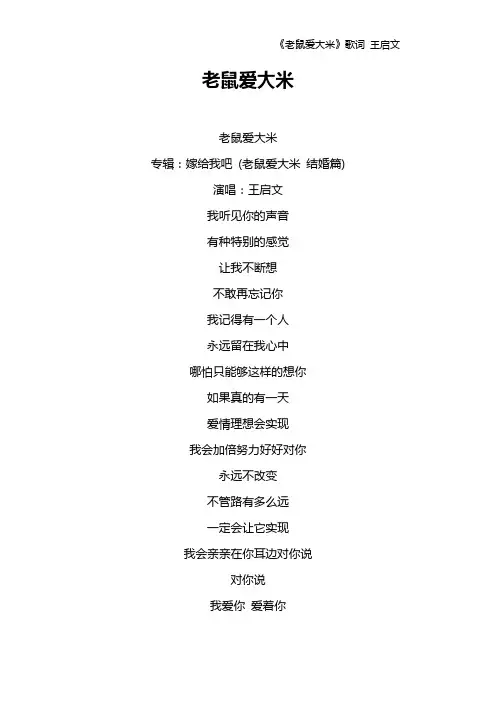 《老鼠爱大米》歌词 王启文