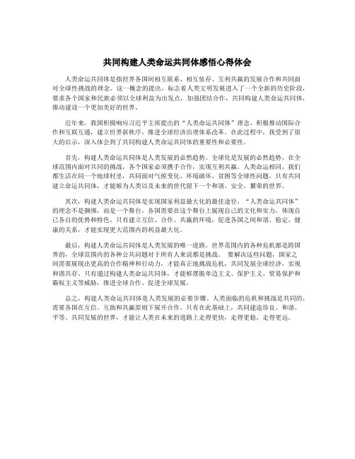共同构建人类命运共同体感悟心得体会