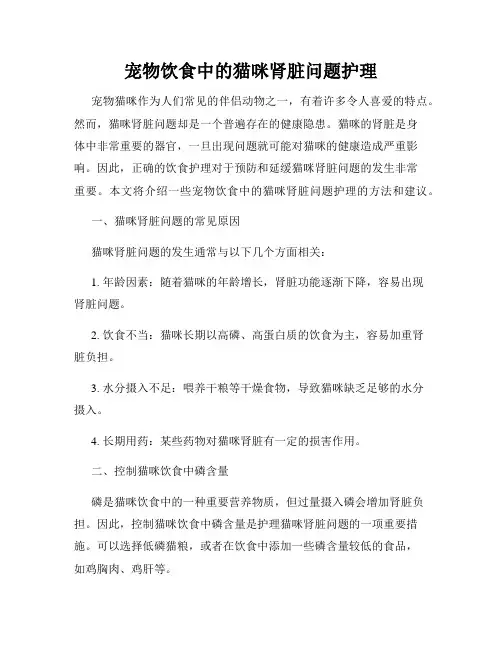 宠物饮食中的猫咪肾脏问题护理