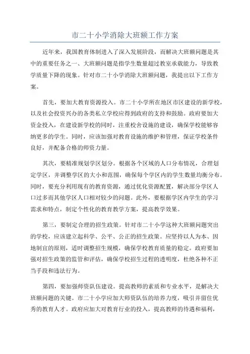 市二十小学消除大班额工作方案
