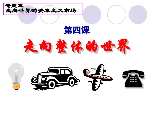 5.4人民版-走向整体的世界课件