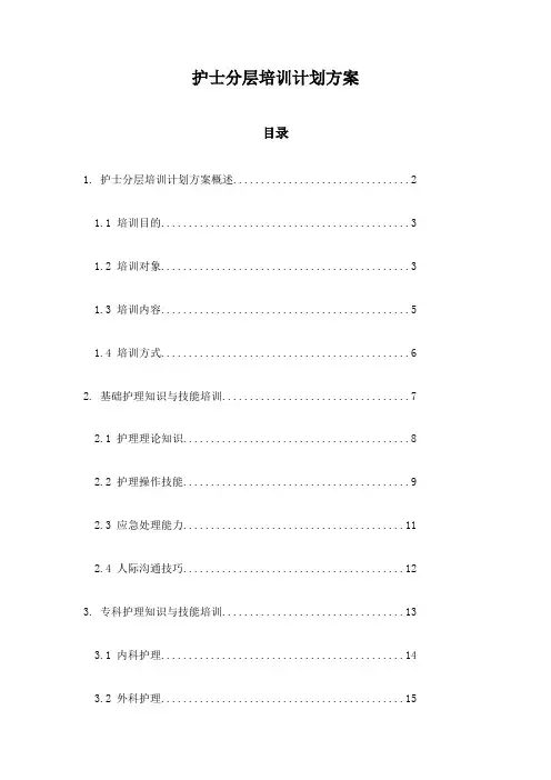 护士分层培训计划方案