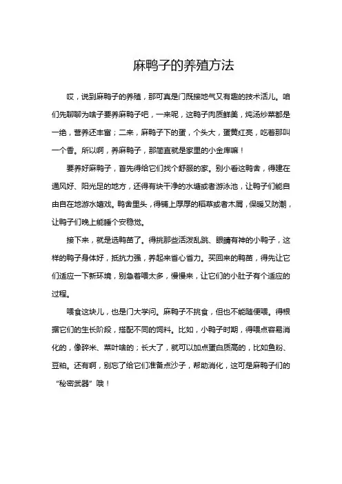 麻鸭子的养殖方法