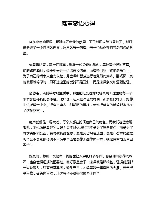 庭审感悟心得