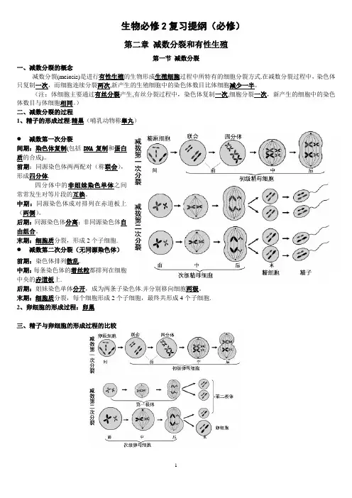 生物必修2复习提纲(必修)
