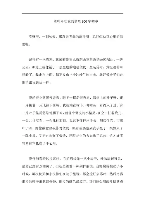 落叶牵动我的情思600字初中