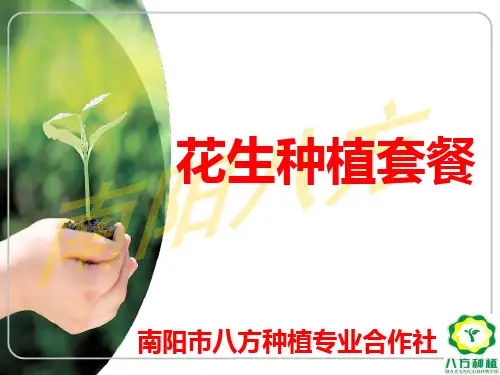 (完整版)花生套餐课件