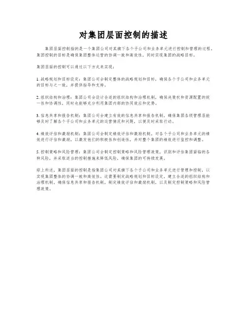 对集团层面控制的描述