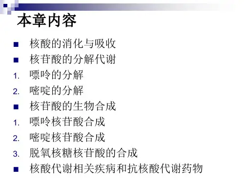 核酸与核苷酸代谢