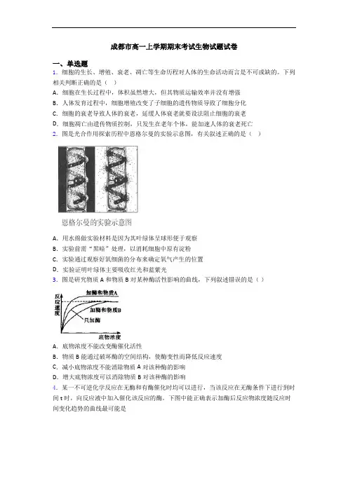 成都市高一上学期期末考试生物试题试卷