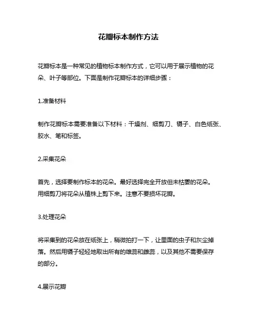 花瓣标本制作方法