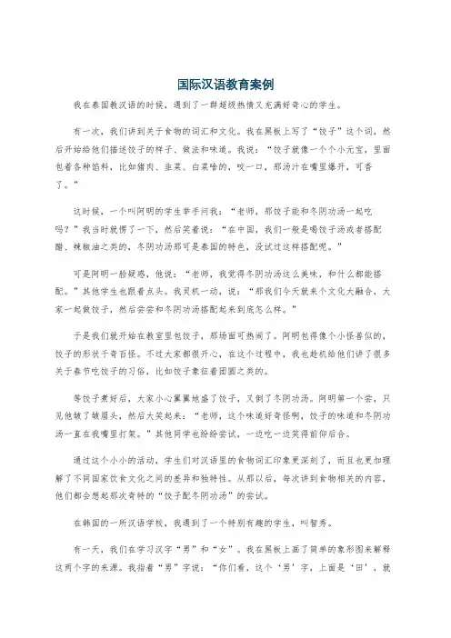 国际汉语教育案例