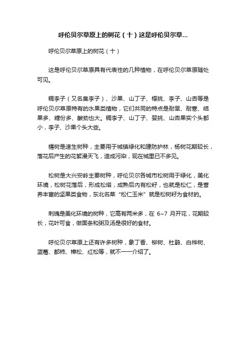 呼伦贝尔草原上的树花（十）这是呼伦贝尔草...