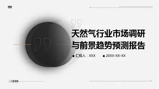 天然气行业市场调研与前景趋势预测报告