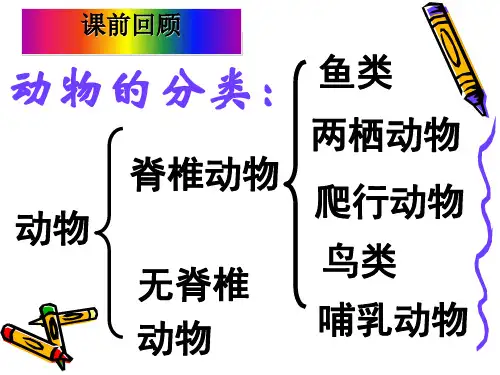 初中科学课件《常见的动物》一等奖公开课PPT1