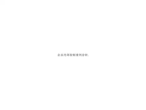 企业内部控制案例分析.