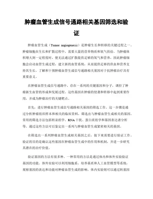 肿瘤血管生成信号通路相关基因筛选和验证