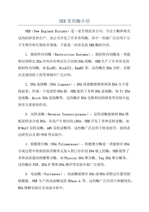 NEB常用酶介绍
