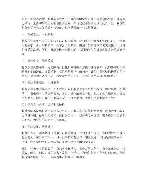 特教教师启示心得体会