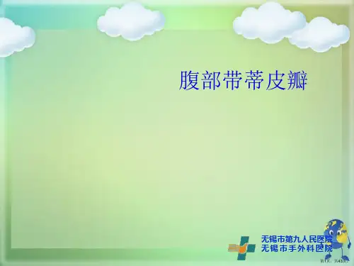 腹部带蒂皮瓣