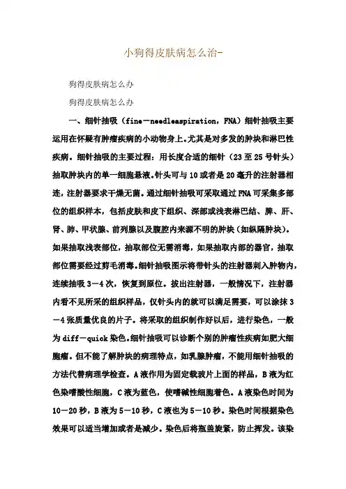 小狗得皮肤病怎么治--狗得皮肤病怎么办