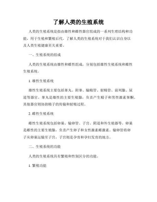 了解人类的生殖系统