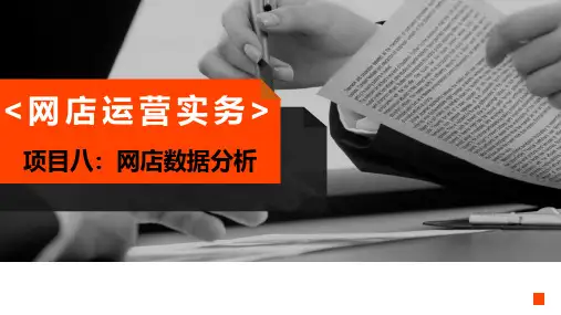 8-2网店运营数据分析