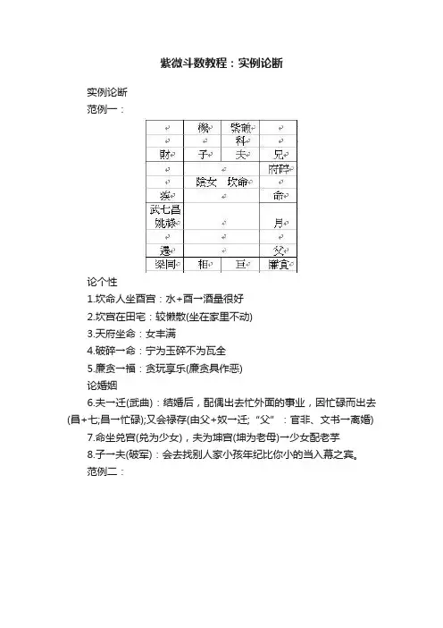 紫微斗数教程：实例论断