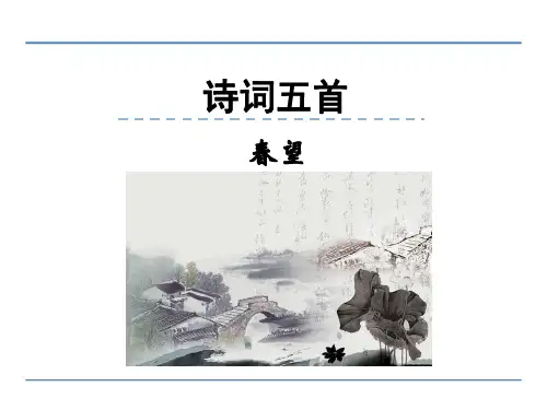 部编版语文八年级上册25 古诗五首  《春望》课件