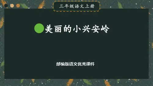 (最新版)《美丽的小兴安岭》部编版三年级语文上册优秀课件
