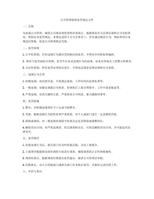 公司管理制度处罚规定文件