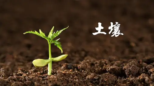 高中地理必修一ppt土壤