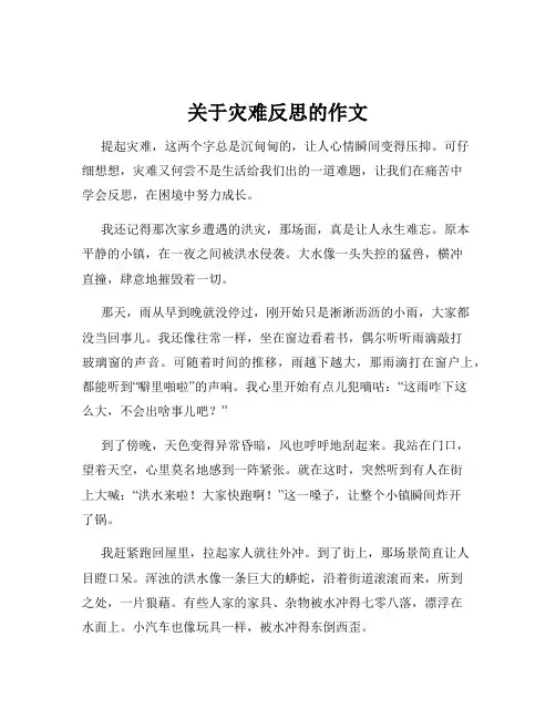 关于灾难反思的作文