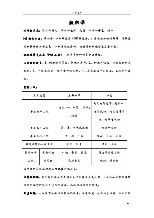 组胚自己总结