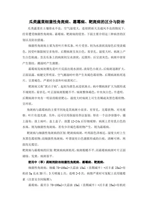 瓜类蔬菜细菌性角斑病、霜霉病、靶斑病的区分与防治