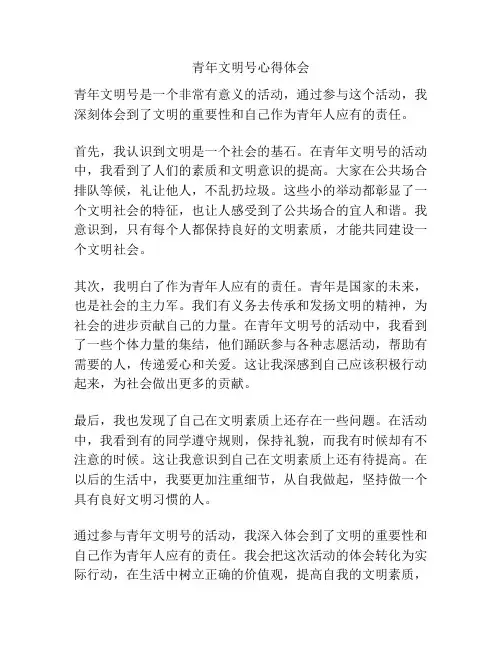 青年文明号心得体会