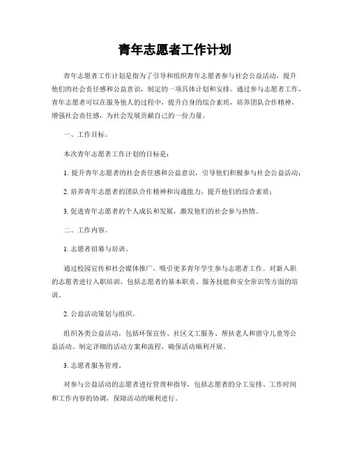 青年志愿者工作计划