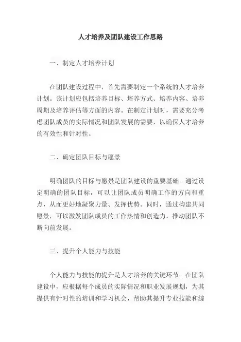 人才培养及团队建设工作思路