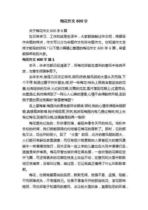 关于梅花作文600字6篇