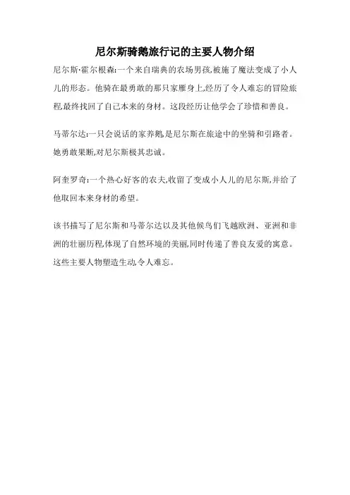 尼尔斯骑鹅旅行记的主要人物介绍