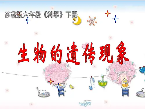 六年级下册科学_生物的遗传现象苏教版(19张)精品课件