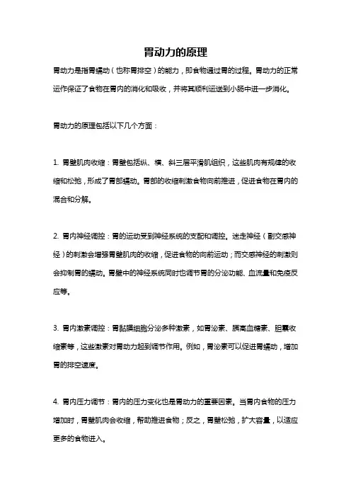 胃动力的原理