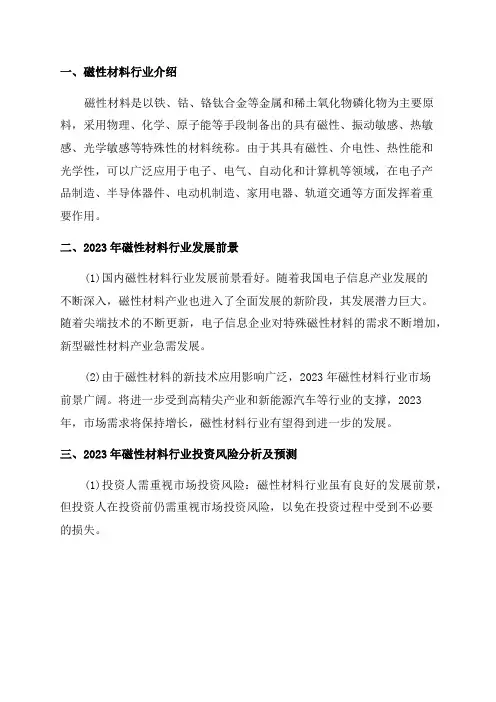 2024-2024年磁性材料行业发展前景分析及投资风险预测报告(最新版