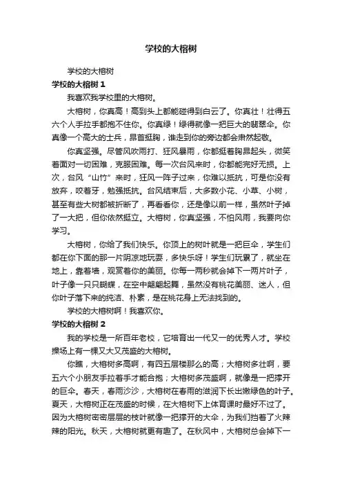 学校的大榕树